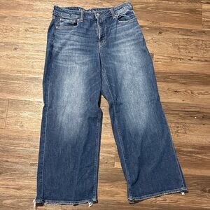 American Eagle Outfitters Blue Wide Leg Jeans